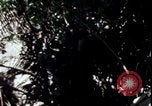 Image of Vietnam War Vietnam, 1967, second 27 stock footage video 65675078513