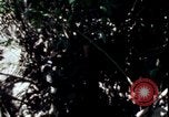 Image of Vietnam War Vietnam, 1967, second 28 stock footage video 65675078513