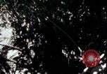 Image of Vietnam War Vietnam, 1967, second 29 stock footage video 65675078513
