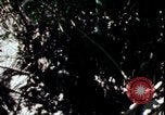 Image of Vietnam War Vietnam, 1967, second 30 stock footage video 65675078513