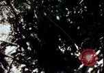 Image of Vietnam War Vietnam, 1967, second 33 stock footage video 65675078513