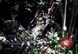 Image of Vietnam War Vietnam, 1967, second 36 stock footage video 65675078513
