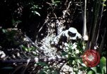 Image of Vietnam War Vietnam, 1967, second 37 stock footage video 65675078513