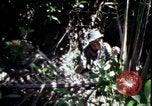 Image of Vietnam War Vietnam, 1967, second 38 stock footage video 65675078513