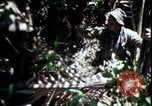Image of Vietnam War Vietnam, 1967, second 40 stock footage video 65675078513