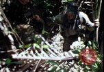 Image of Vietnam War Vietnam, 1967, second 41 stock footage video 65675078513