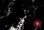 Image of Vietnam War Vietnam, 1967, second 45 stock footage video 65675078513