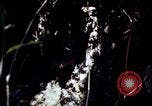 Image of Vietnam War Vietnam, 1967, second 46 stock footage video 65675078513