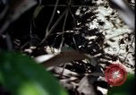 Image of Vietnam War Vietnam, 1967, second 54 stock footage video 65675078513