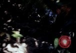 Image of Vietnam War Vietnam, 1967, second 60 stock footage video 65675078513