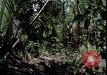 Image of Vietnam War Vietnam, 1967, second 9 stock footage video 65675078514