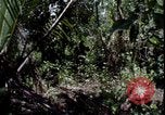 Image of Vietnam War Vietnam, 1967, second 10 stock footage video 65675078514