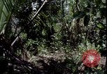 Image of Vietnam War Vietnam, 1967, second 11 stock footage video 65675078514