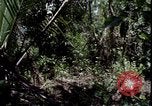 Image of Vietnam War Vietnam, 1967, second 12 stock footage video 65675078514