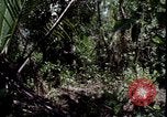Image of Vietnam War Vietnam, 1967, second 13 stock footage video 65675078514