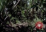 Image of Vietnam War Vietnam, 1967, second 14 stock footage video 65675078514