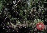Image of Vietnam War Vietnam, 1967, second 15 stock footage video 65675078514