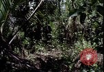 Image of Vietnam War Vietnam, 1967, second 17 stock footage video 65675078514