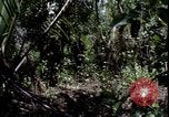 Image of Vietnam War Vietnam, 1967, second 18 stock footage video 65675078514
