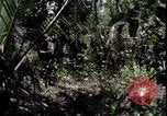 Image of Vietnam War Vietnam, 1967, second 19 stock footage video 65675078514