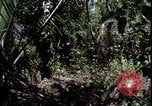 Image of Vietnam War Vietnam, 1967, second 20 stock footage video 65675078514