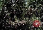 Image of Vietnam War Vietnam, 1967, second 21 stock footage video 65675078514