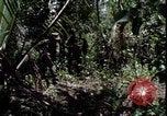 Image of Vietnam War Vietnam, 1967, second 22 stock footage video 65675078514
