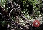 Image of Vietnam War Vietnam, 1967, second 23 stock footage video 65675078514