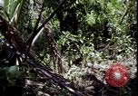 Image of Vietnam War Vietnam, 1967, second 26 stock footage video 65675078514