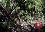 Image of Vietnam War Vietnam, 1967, second 27 stock footage video 65675078514