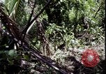 Image of Vietnam War Vietnam, 1967, second 28 stock footage video 65675078514