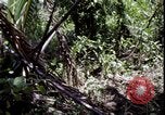 Image of Vietnam War Vietnam, 1967, second 30 stock footage video 65675078514