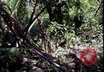Image of Vietnam War Vietnam, 1967, second 32 stock footage video 65675078514