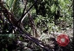 Image of Vietnam War Vietnam, 1967, second 34 stock footage video 65675078514