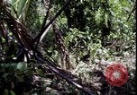Image of Vietnam War Vietnam, 1967, second 35 stock footage video 65675078514