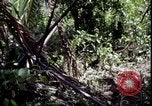 Image of Vietnam War Vietnam, 1967, second 36 stock footage video 65675078514