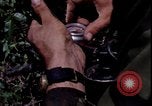 Image of Vietnam War Vietnam, 1967, second 42 stock footage video 65675078514
