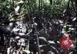 Image of Vietnam War Vietnam, 1967, second 51 stock footage video 65675078514