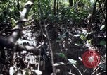 Image of Vietnam War Vietnam, 1967, second 52 stock footage video 65675078514