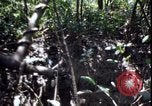 Image of Vietnam War Vietnam, 1967, second 53 stock footage video 65675078514