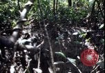 Image of Vietnam War Vietnam, 1967, second 54 stock footage video 65675078514