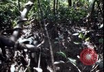 Image of Vietnam War Vietnam, 1967, second 55 stock footage video 65675078514