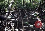 Image of Vietnam War Vietnam, 1967, second 56 stock footage video 65675078514
