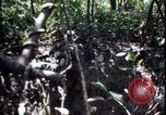 Image of Vietnam War Vietnam, 1967, second 57 stock footage video 65675078514