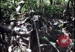 Image of Vietnam War Vietnam, 1967, second 58 stock footage video 65675078514
