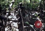 Image of Vietnam War Vietnam, 1967, second 59 stock footage video 65675078514