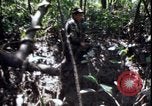 Image of Vietnam War Vietnam, 1967, second 60 stock footage video 65675078514