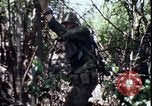 Image of Vietnam War Vietnam, 1967, second 61 stock footage video 65675078514
