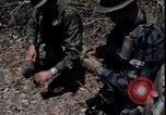 Image of Vietnam War Vietnam, 1967, second 4 stock footage video 65675078515