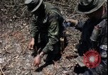 Image of Vietnam War Vietnam, 1967, second 7 stock footage video 65675078515